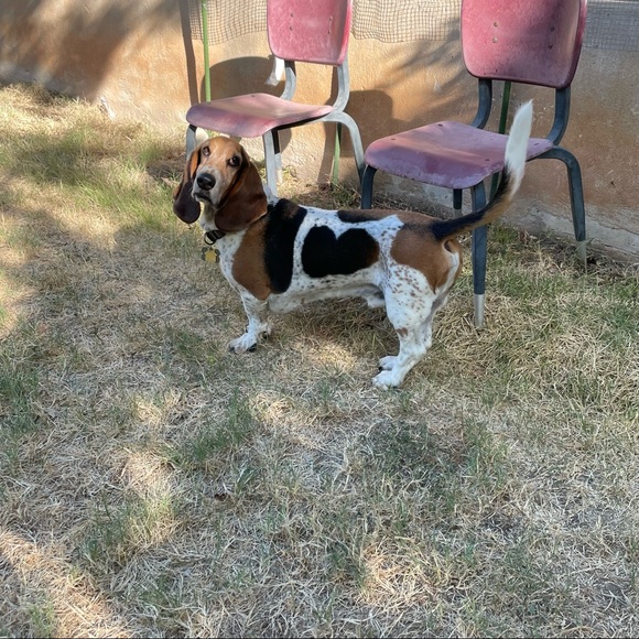 Hello friends! - Picture 10 of 16